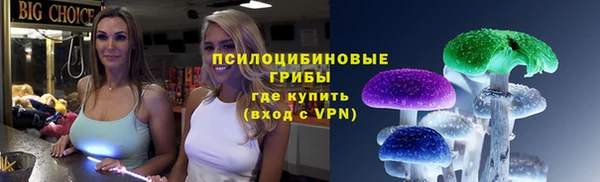 винт Армянск
