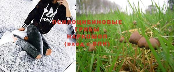 винт Армянск