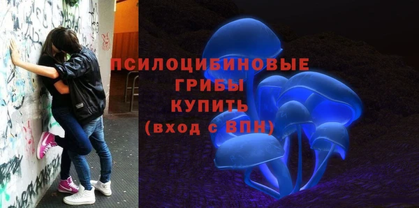 винт Армянск