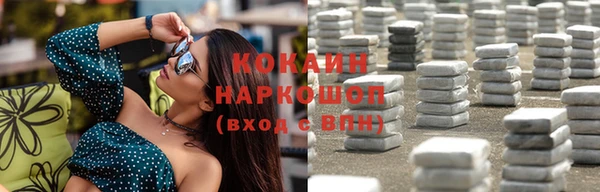 гашик Аркадак